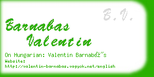 barnabas valentin business card